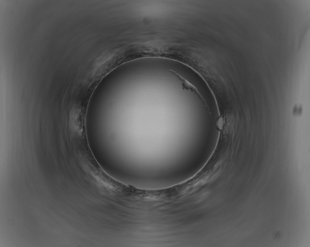 X0000093521202200710121538
