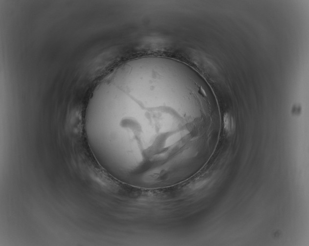 X0000093521203200710121538