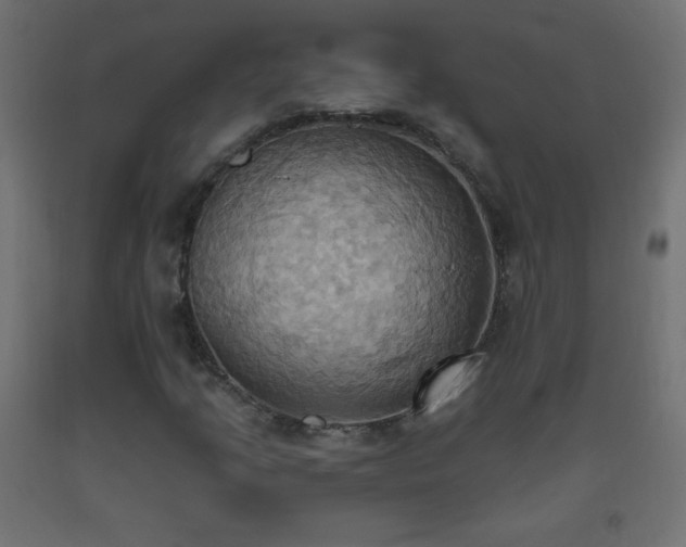 X0000093521205200710121538