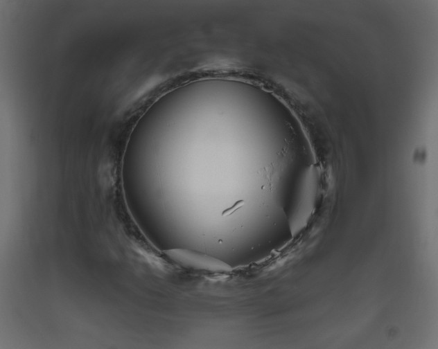 X0000093521206200710121538