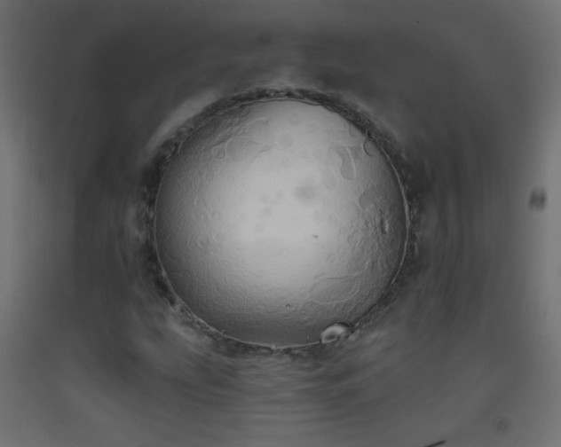 X0000093521207200710121538
