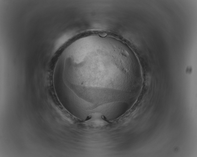 X0000093521208200710121538