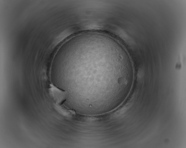 X0000093521209200710121538