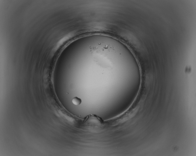 X0000093521210200710121538