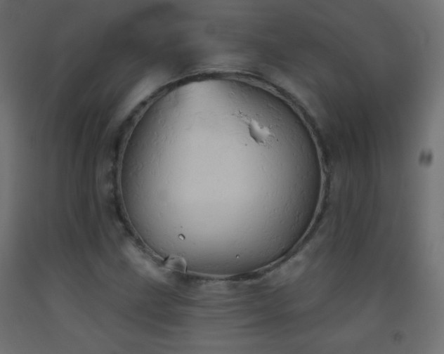 X0000093521211200710121538