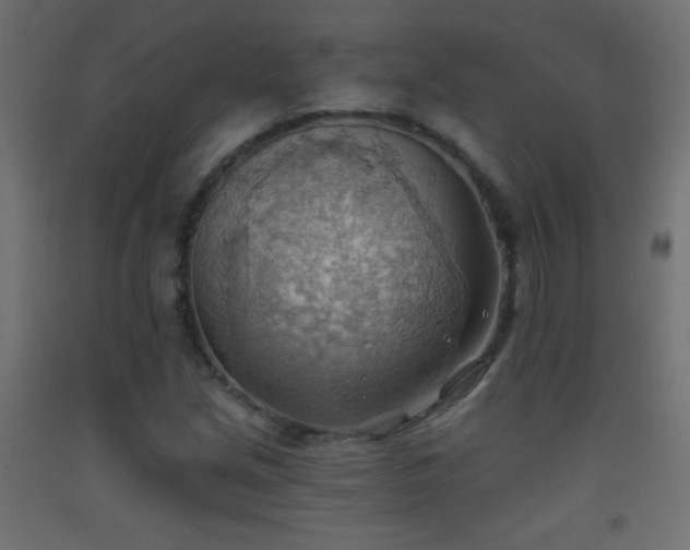 X0000093521213200710121538