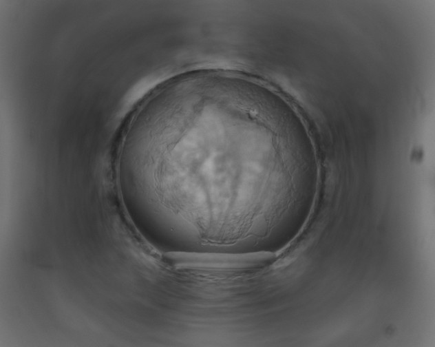 X0000093521215200710121538