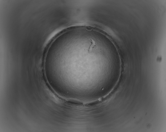 X0000093521216200710121538