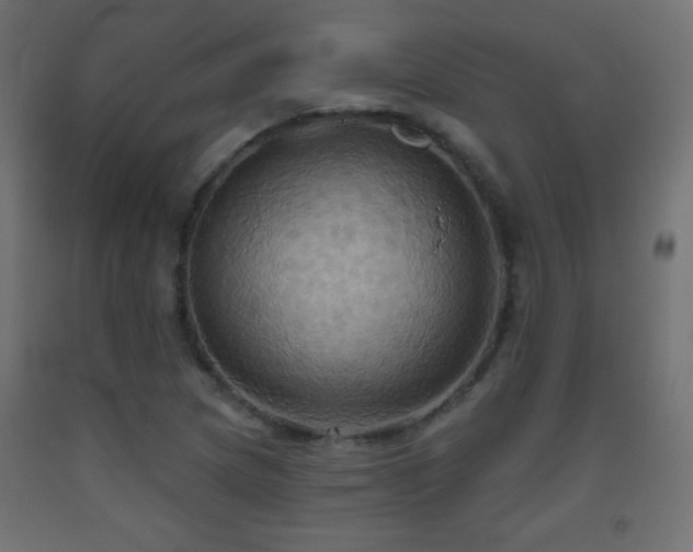 X0000093521217200710121538