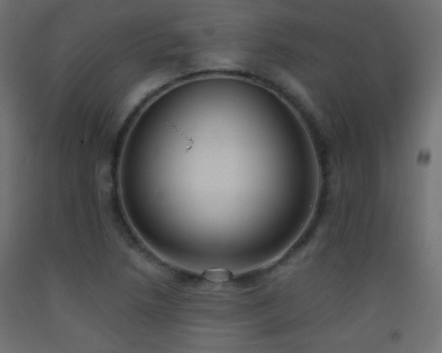 X0000093521218200710121538