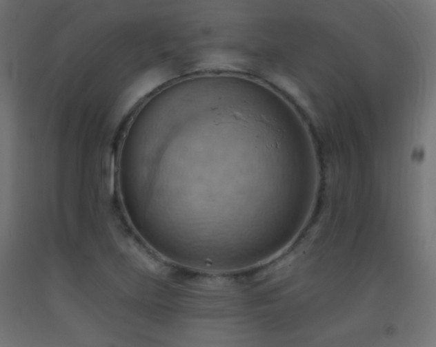 X0000093521219200710121538
