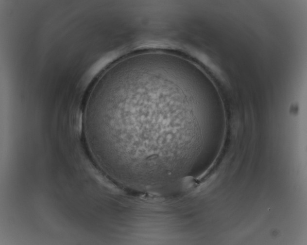 X0000093521221200710121538