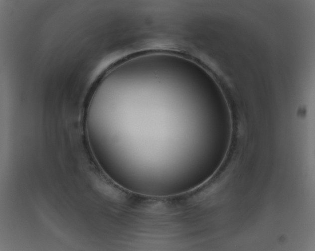 X0000093521222200710121538