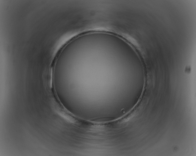 X0000093521223200710121538