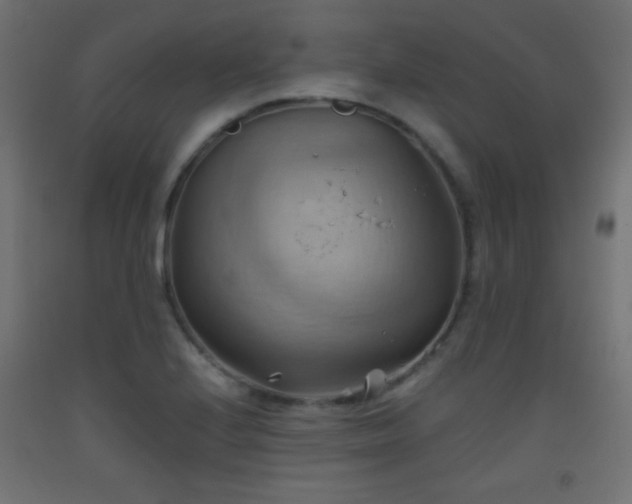 X0000093521224200710121538