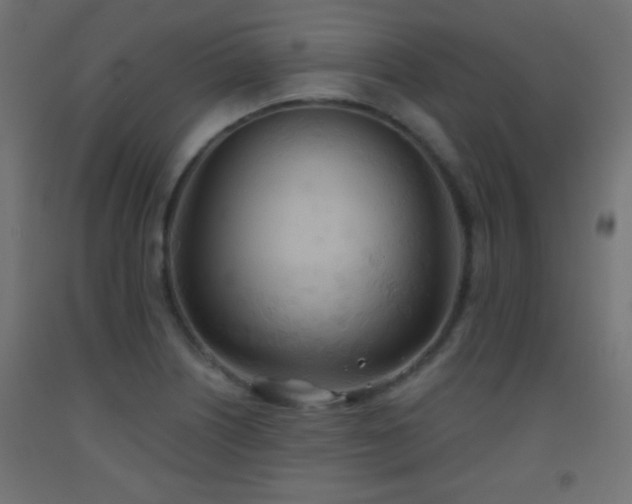 X0000093521226200710121538