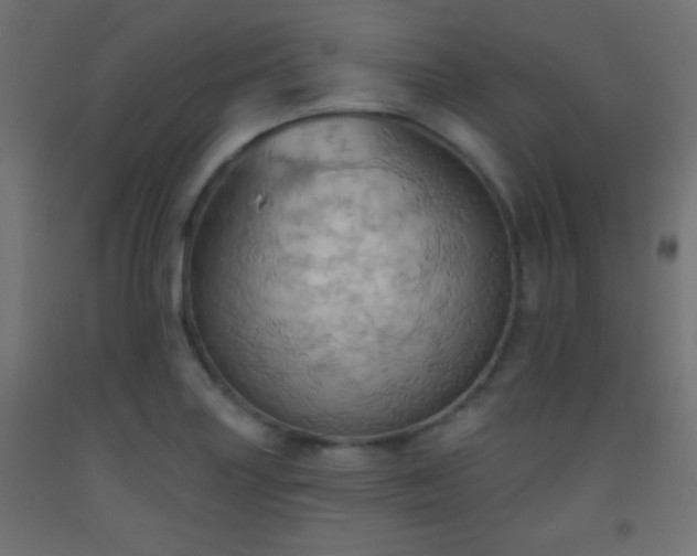 X0000093521227200710121538