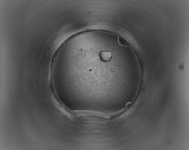X0000093521228200710121538