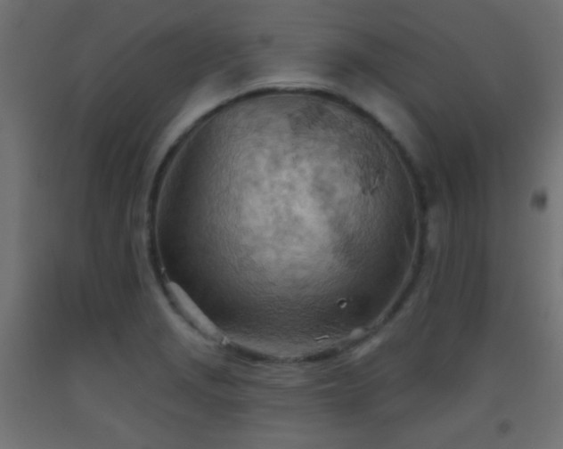X0000093521229200710121538