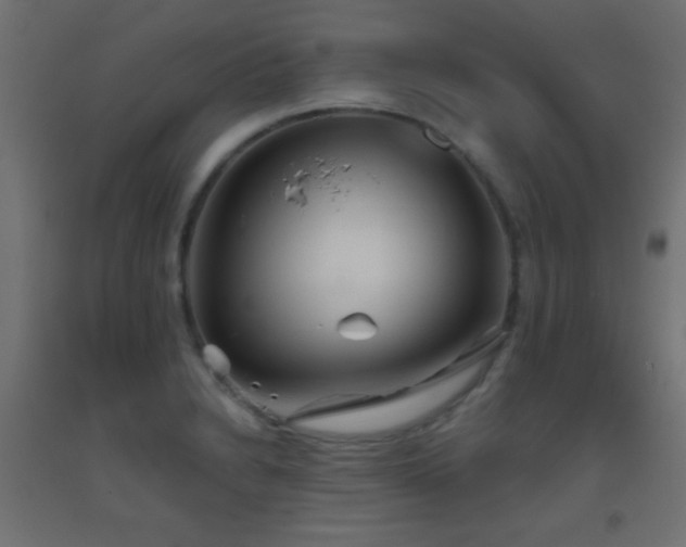 X0000093521230200710121538