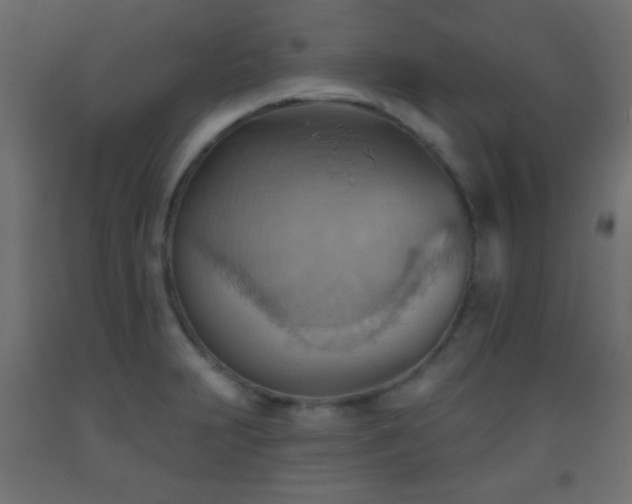 X0000093521231200710121538
