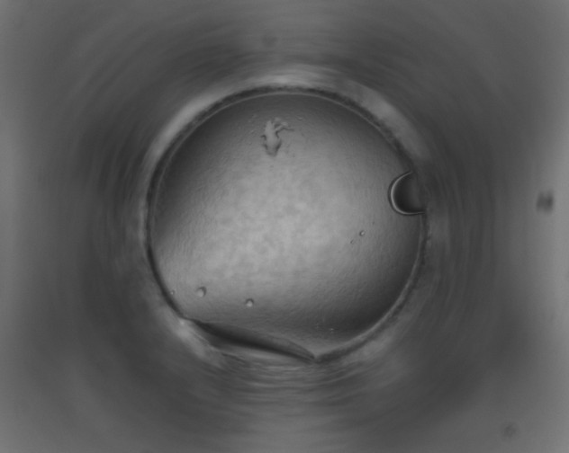 X0000093521232200710121538
