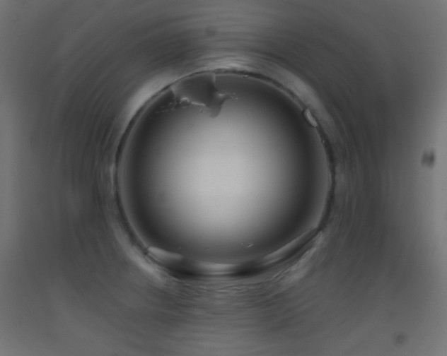 X0000093521234200710121538
