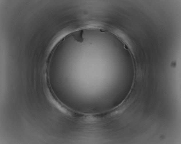 X0000093521235200710121538