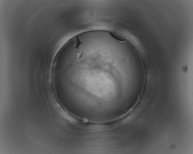 X0000093521236200710121538