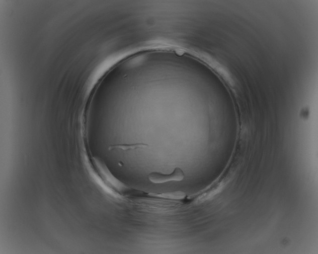 X0000093521239200710121538