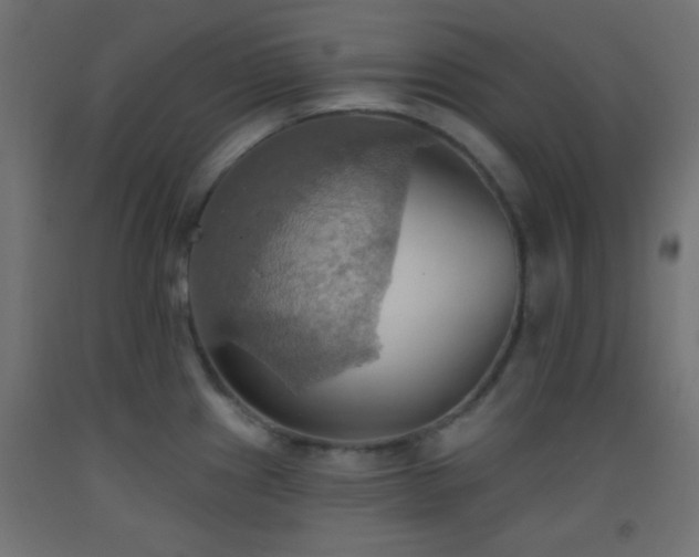 X0000093521241200710121538