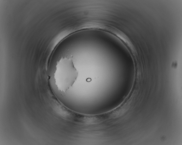 X0000093521242200710121538