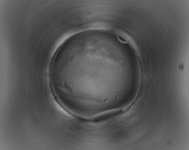 X0000093521243200710121538