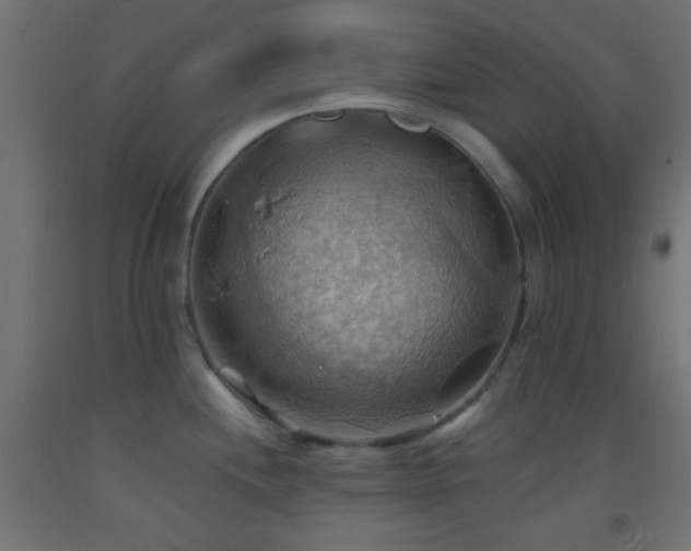 X0000093521244200710121538