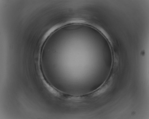X0000093521245200710121538