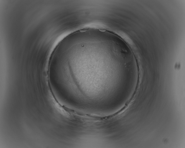 X0000093521248200710121538