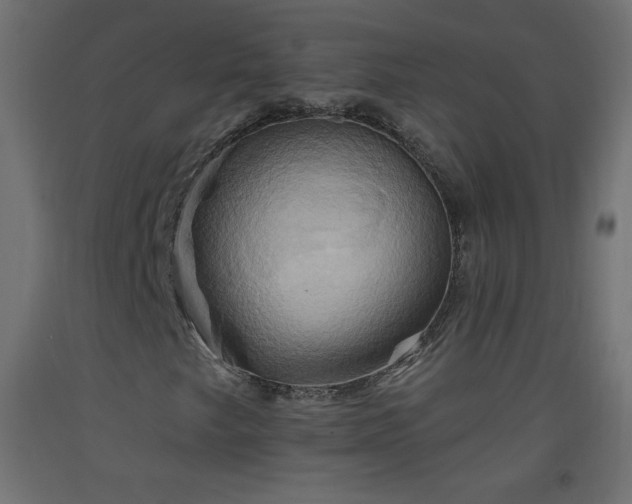 X0000093521249200710121538