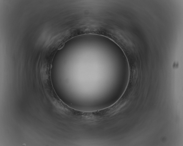 X0000093521250200710121538