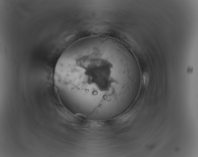 X0000093521251200710121538