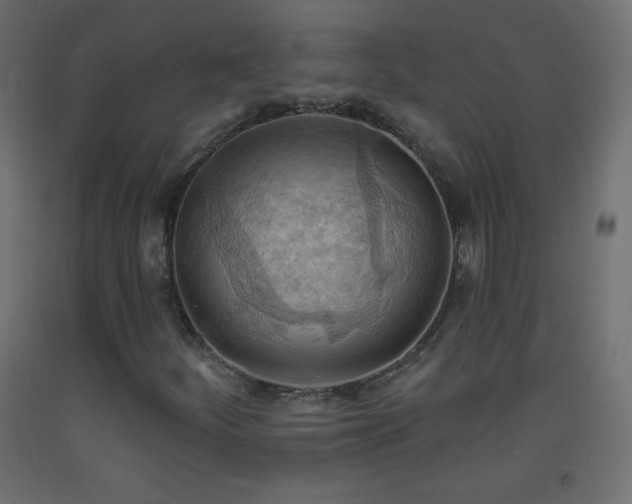 X0000093521252200710121538