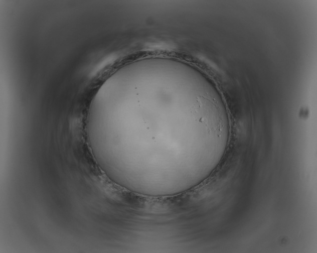X0000093521254200710121538