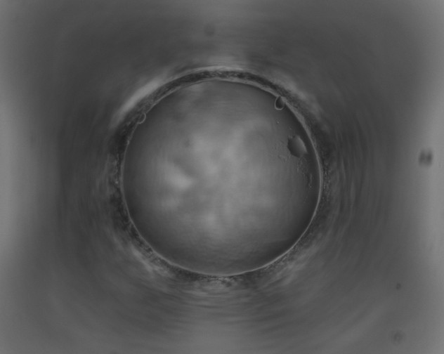 X0000093521255200710121538