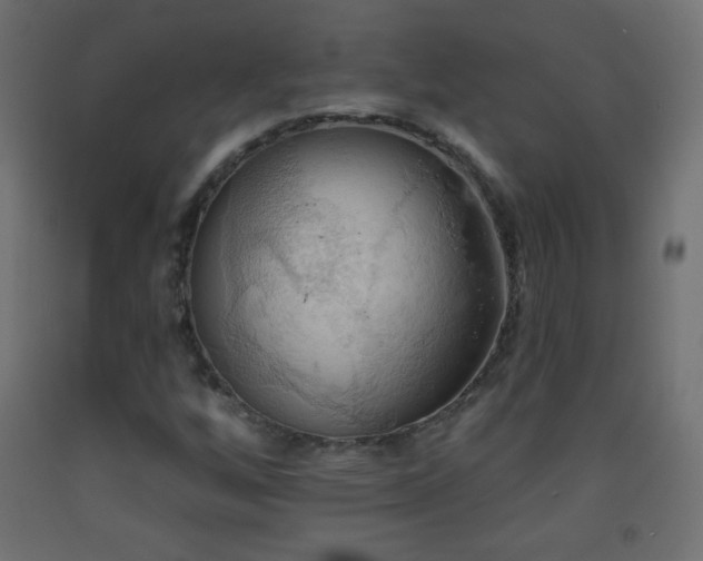 X0000093521256200710121538