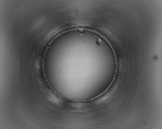 X0000093521257200710121538
