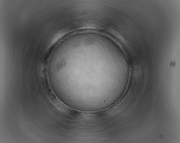 X0000093521258200710121538