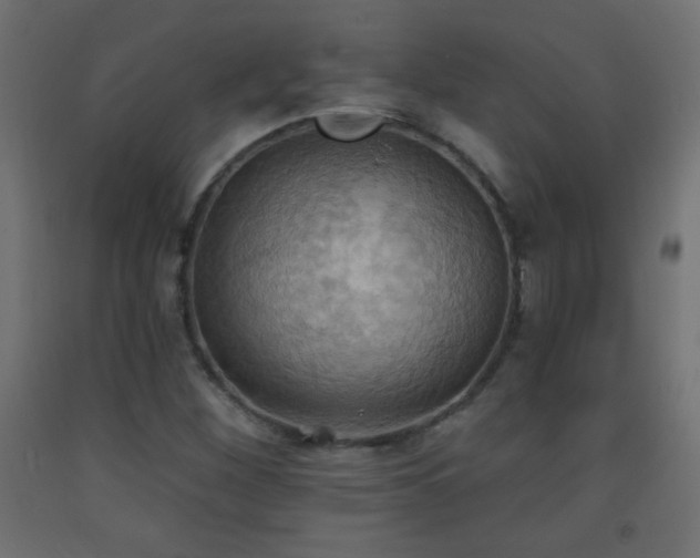 X0000093521260200710121538