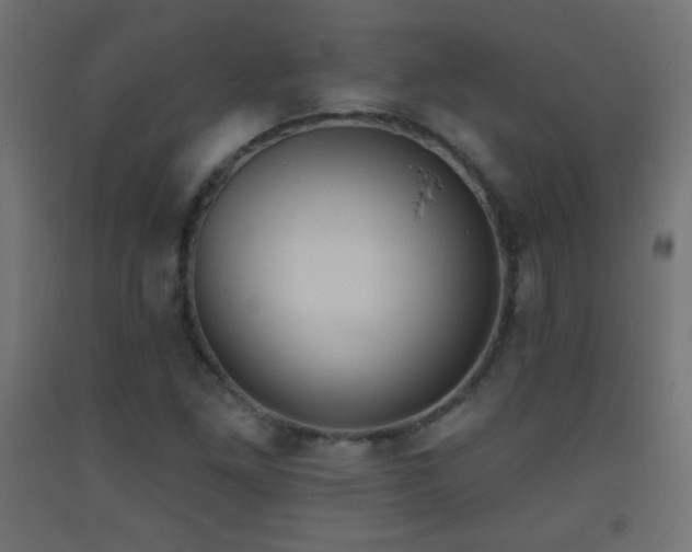X0000093521261200710121538