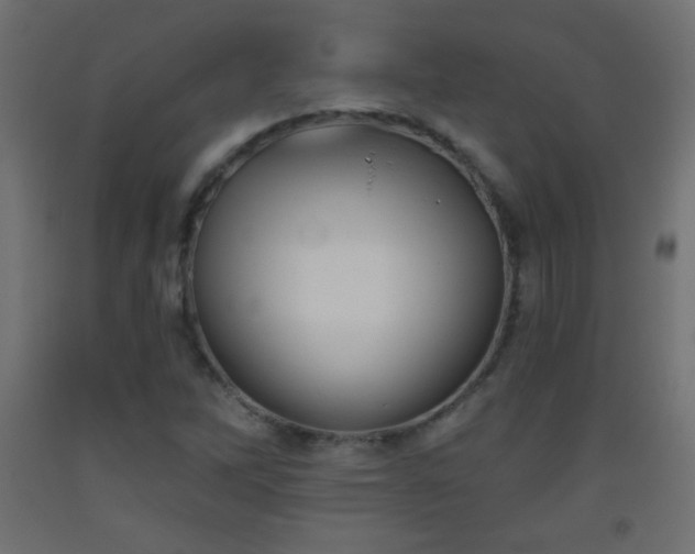 X0000093521262200710121538