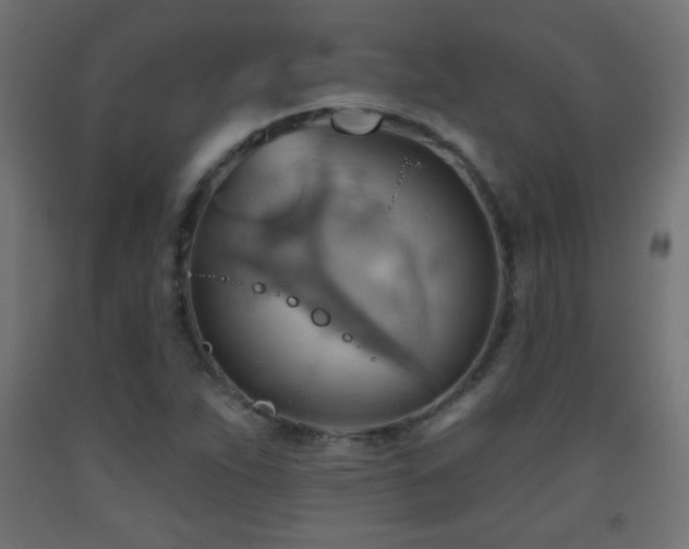 X0000093521263200710121538