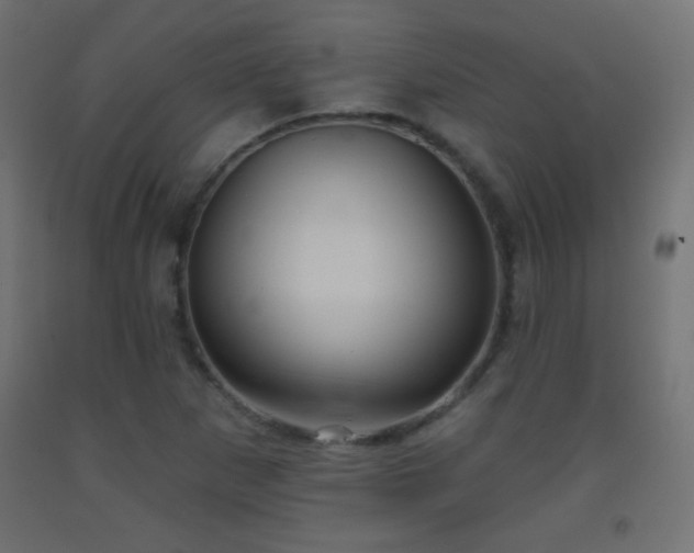 X0000093521265200710121538